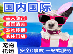 鞍山航空空运国际宠物托运 【国